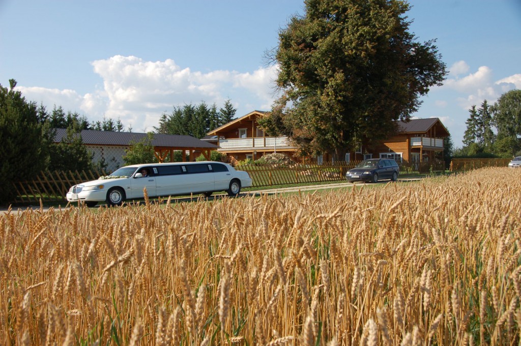 Pulmarong 2013